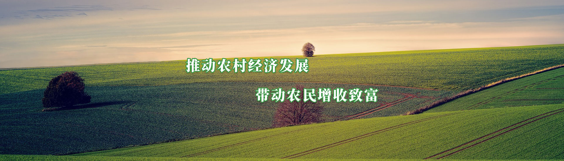 九洲国际官网(中国区)股份有限公司