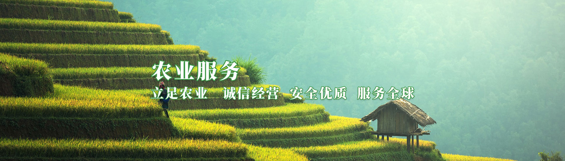 九洲国际官网(中国区)股份有限公司