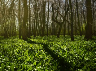 访农户，，，，，，送手艺！ “中国农资”现代农业效劳团队助力秋粮生产