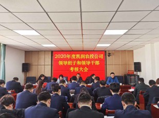 九洲国际官网 召开2020年度向导班子和向导干部审核大会