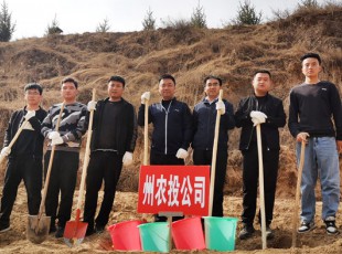 九洲国际官网加入2021年春季义务植树活动